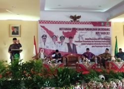 Pemerintahan