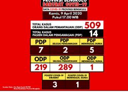 Pemerintahan