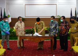 Pemerintahan