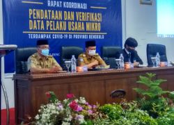 Pemerintahan
