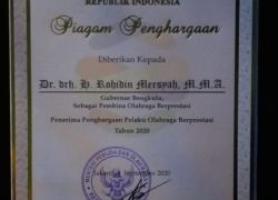Pemerintahan
