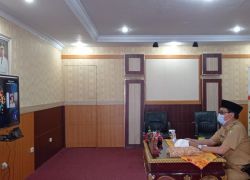 Pemerintahan