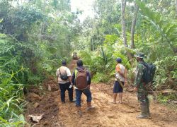Nasional
