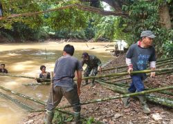 Nasional