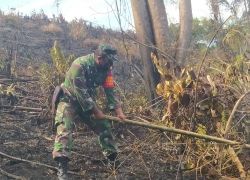 TNI